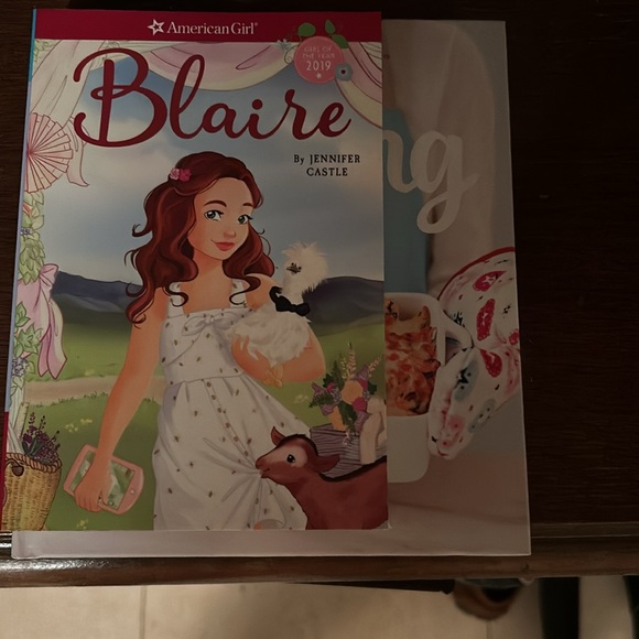 10 American girl doll books - Picture 9 of 11